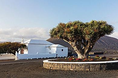 TGA：《钢之崛起》发布新预告 2022年6月发售